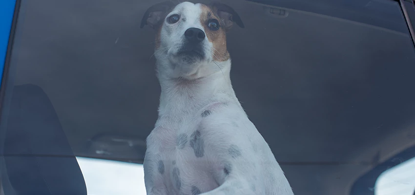 Car Lockout Solutions in Aptos, California