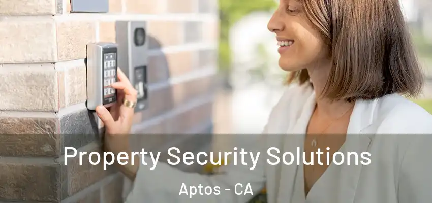  Property Security Solutions Aptos - CA